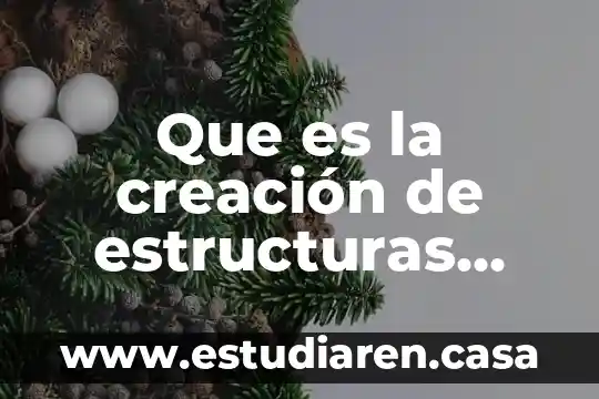 Que es estructuras humanas 5 Que es la creación de estructuras secuenciales en informatica