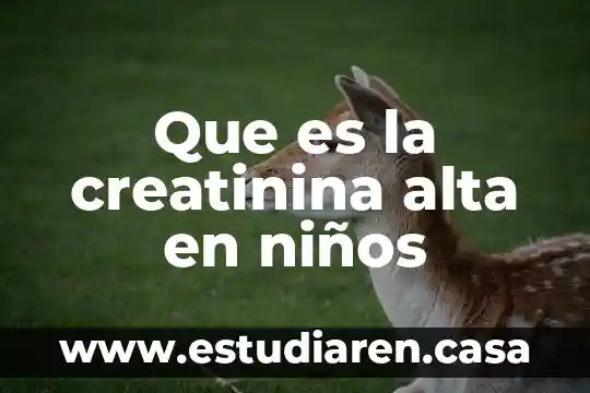 Por que es importanted que los niños comoscan su cominidad 6 Que es la creatinina alta en niños
