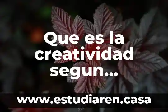 Que es un proceso productivo segun alejandro rofman 5 Que es la creatividad segun alejandro schnarch