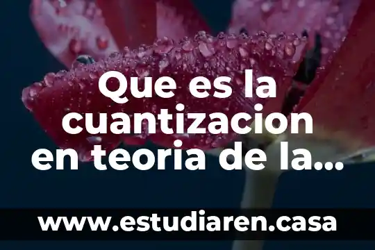 Que es la cuantizacion en teoria de la infotmacion