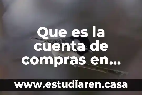 Que es una cuenta de resultados deudora 5 Que es la cuenta de compras en contabilidad