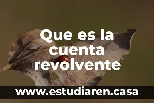 Que es la cuenta revolvente