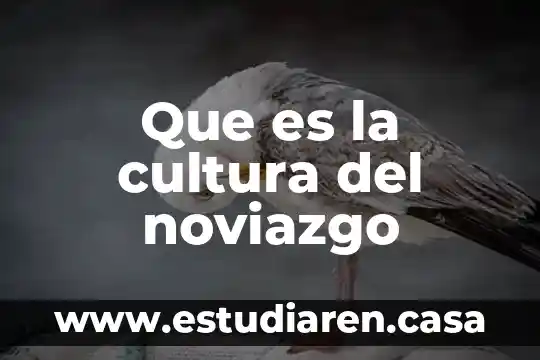 Que es la cultura y sus elementos 4 Que es la cultura del noviazgo