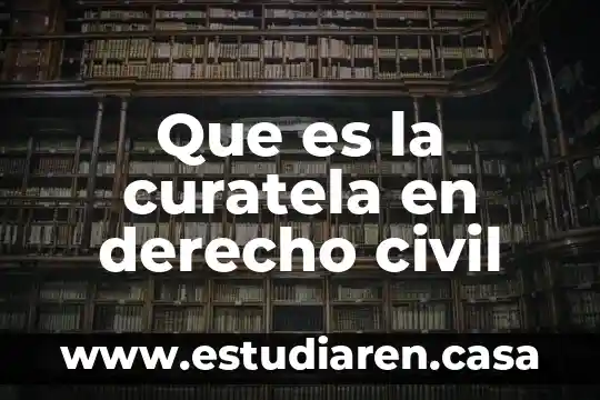 Que es ingeniería la ingeneria civil 4 Que es la curatela en derecho civil