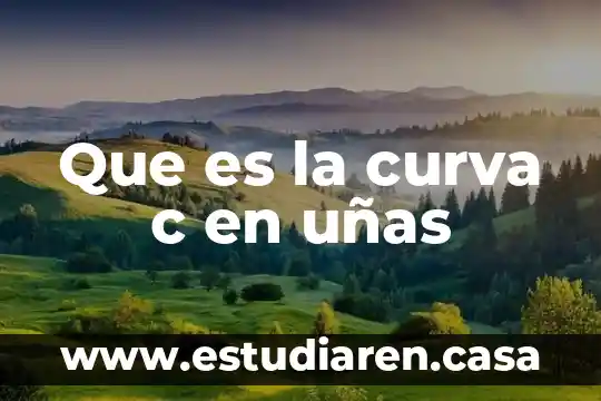 Qué es bueno para tener unas pestañas abundantes 6 Que es la curva c en uñas