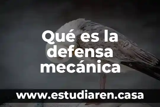 Mecánica de fluidos que es un proceso 4 Qué es la defensa mecánica
