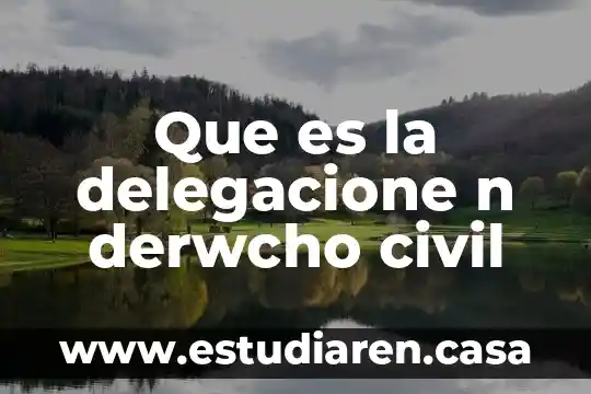 Que es la delegacione n derwcho civil