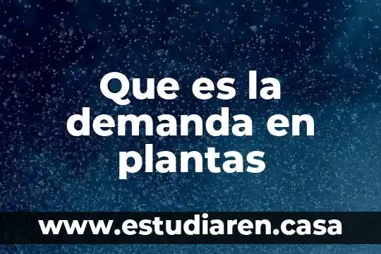 Que es la solicitud de informe en una demanda 3 Que es la demanda en plantas