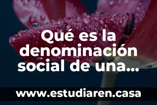 Que es una sociedad civil o sin fines de lucro 8 Qué es la denominación social de una sociedad