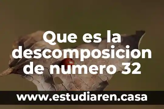 Que es la descomposicion de numero 32