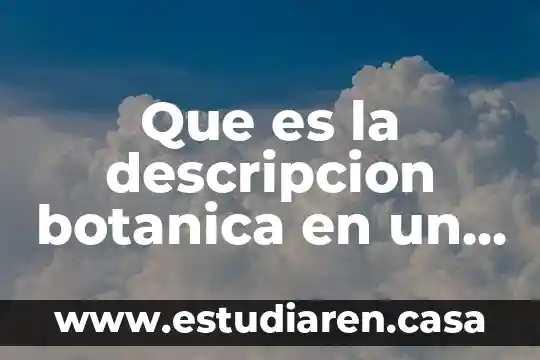 Que es modo kernel 4 Que es la descripcion botanica en un proyecto