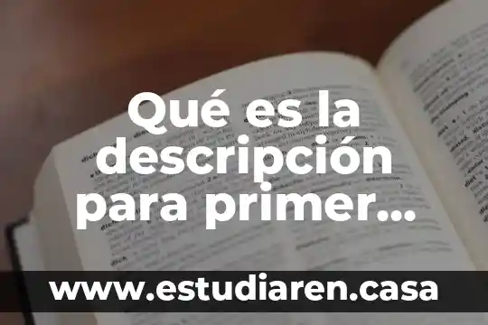 Qué es la descripción para primer grado de primaria