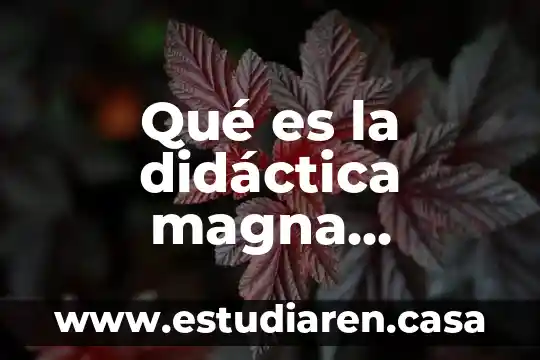 Qué es el cuestionario didáctica educativa 3 Qué es la didáctica magna resumido