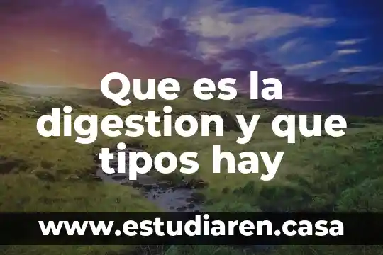 Que es la digestion y que tipos hay