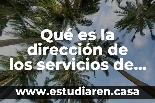 Qué es hábitos en social 5 Qué es la dirección de los servicios de salud