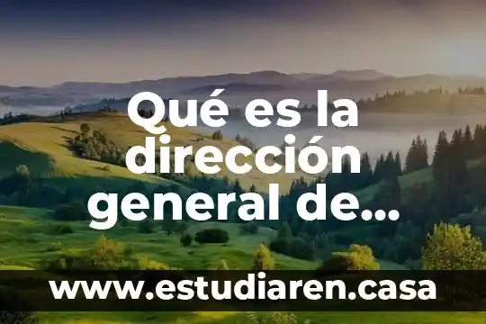 Qué es un sistema de recaudación en contabilidad gubernamental 6 Qué es la dirección general de recaudación