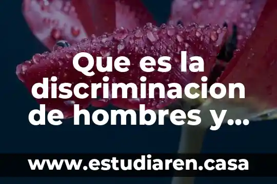 Que es la discriminacion de hombres y mujeres