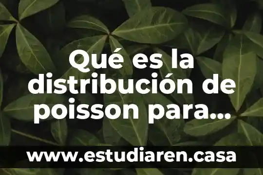 Qué es una fuente de entrada en teoría de colas 4 Qué es la distribución de poisson para teoría de colas