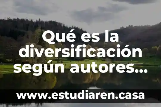 Qué es la diversificación según autores reconocidos