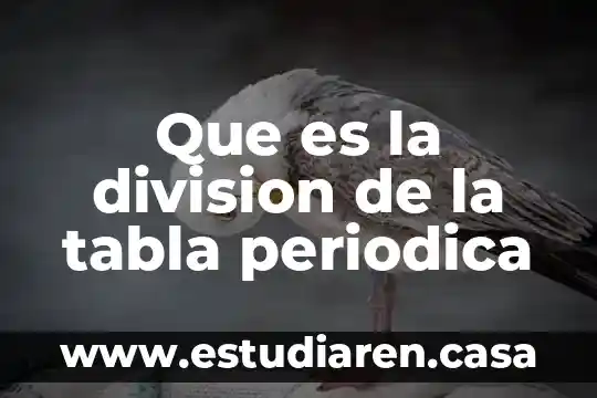 Que es la division de la tabla periodica