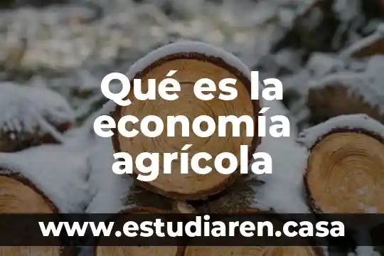Que es economia aplicada a los negocios 7 Qué es la economía agrícola
