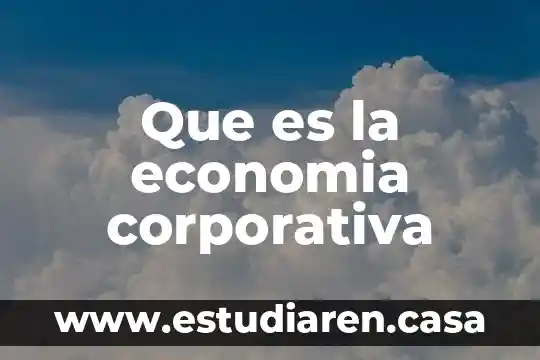 Qué es rating en economía 6 Que es la economia corporativa