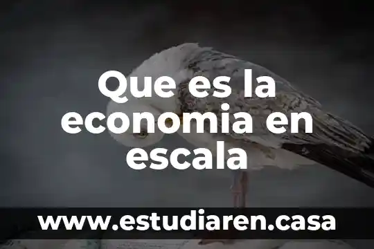 Qué es una escala relativa física 8 Que es la economia en escala