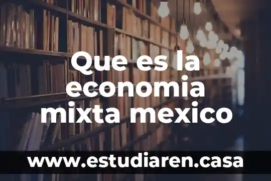 Que es una fraccion mixta y ejemplo 3 Que es la economia mixta mexico