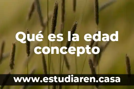 Qué es la edad concepto