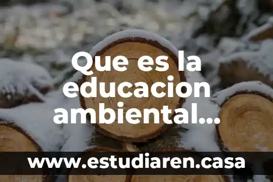 Que es la educacion ambiental segun la oms