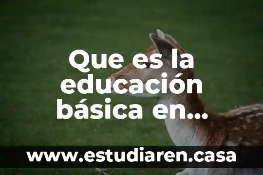 Que es la educacion en la cultura postmoderna 7 Que es la educación básica en méxico