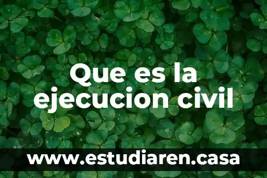 Qué es parrafeo de programa de protección civil 6 Que es la ejecucion civil