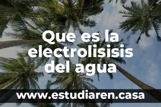 Que es la electrolisisis del agua
