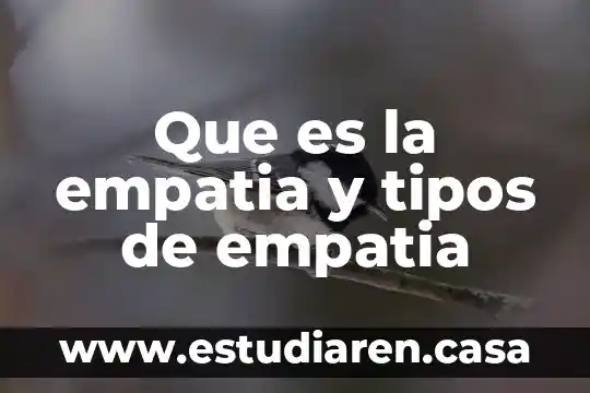 Que es la empatia y tipos de empatia