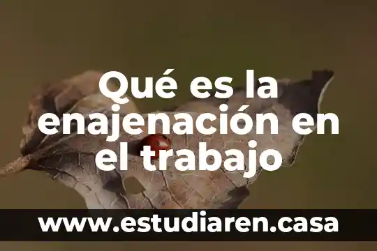 Que es tiempo en fuerza 8 Qué es la enajenación en el trabajo