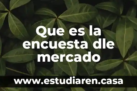 Que es la encuesta dle mercado