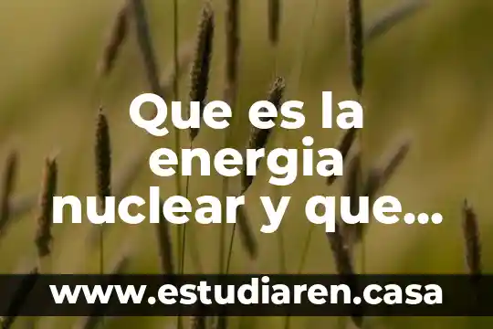 Que es la energia nuclear y que usos tiene