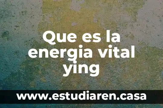 Que es la teoria de la fuerza vital 3 Que es la energia vital ying