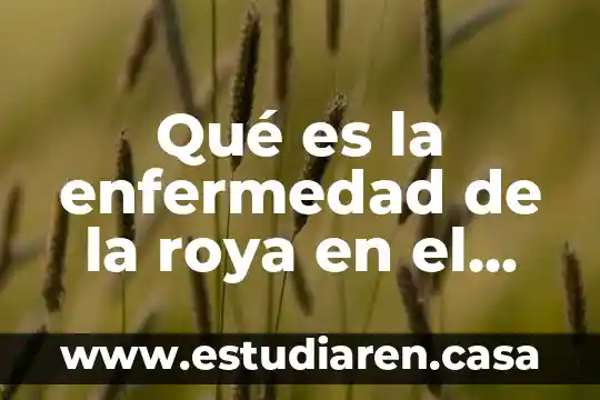 Qué es la enfermedad de la roya en el café