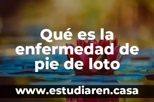 Que es bueno para el ardor del pie 8 Qué es la enfermedad de pie de loto