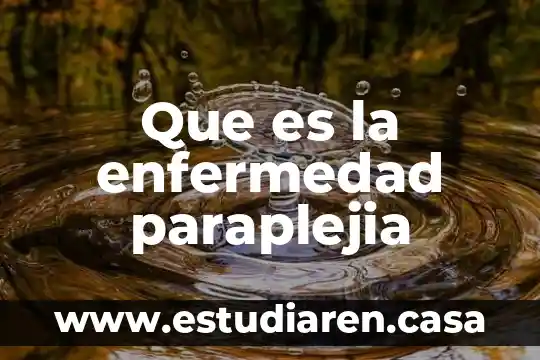 Ensayo de que es la lectura 5 Que es la enfermedad paraplejia
