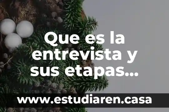 Que es la entrevista y sus etapas social taylor.y bogdan