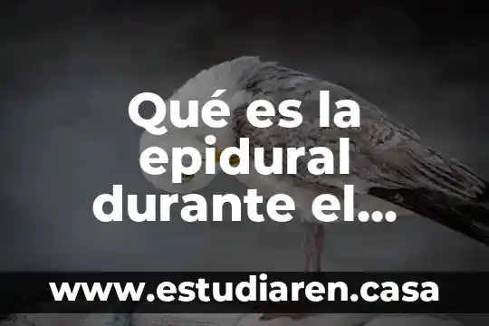 Qué es la epidural durante el parto