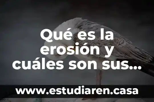 Qué es una nota periodística y cuáles son sus partes 5 Qué es la erosión y cuáles son sus etapas