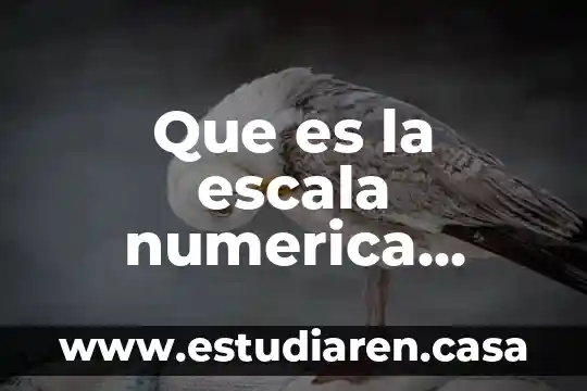 Que es un dibujo a escala ejemplos 4 Que es la escala numerica ejemplos