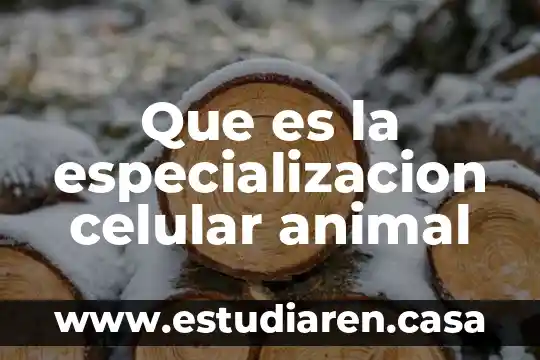 Bitso que es la transferencia a celular 7 Que es la especializacion celular animal