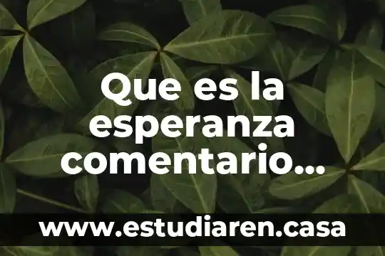 Que es tomarlo personal 4 Que es la esperanza comentario personal