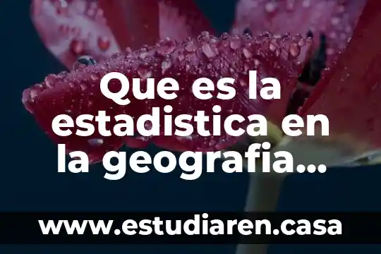 Que es la geografia y para que se estudia 5 Que es la estadistica en la geografia humana