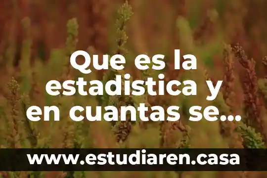 Que es el patrimonio cultural y como se divide 4 Que es la estadistica y en cuantas se divide