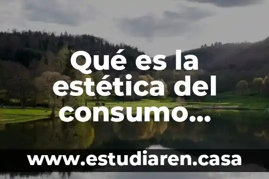 Qué es la estética del consumo según Bauman